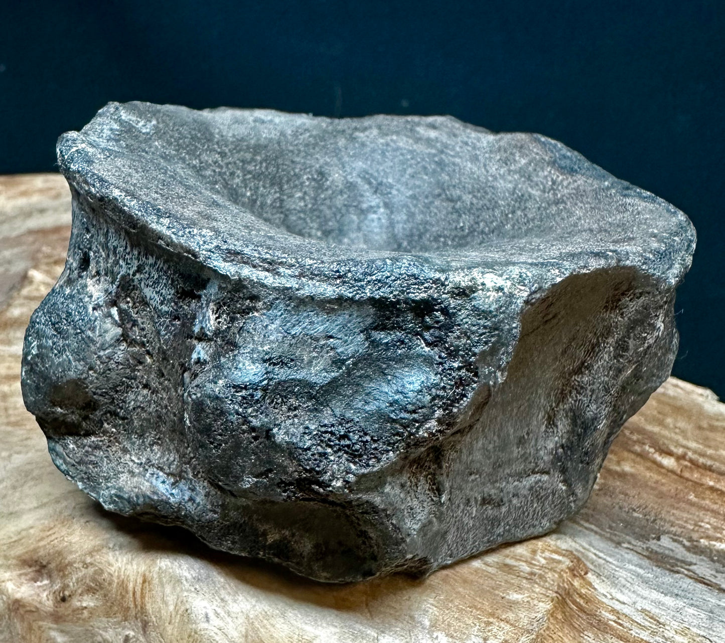 Ichthyosaur Vert