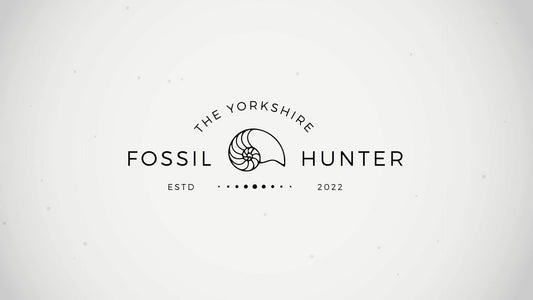 Fossil Gift Voucher