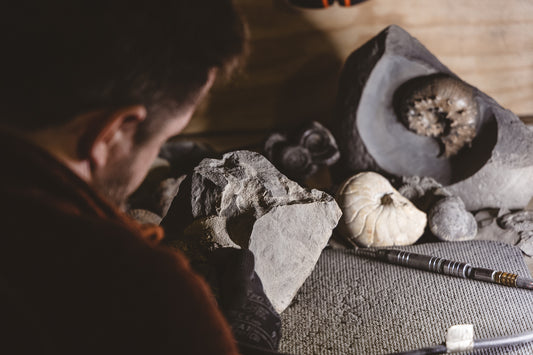 2025 Fossil Preparation lesson