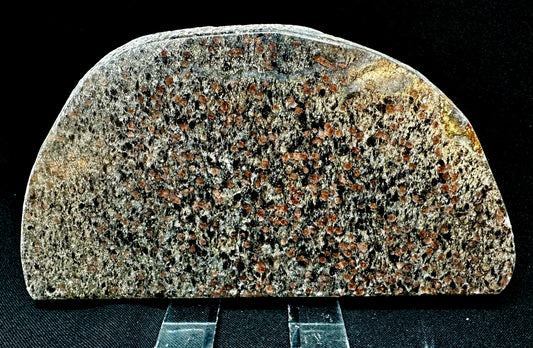 Polished Glacial Erratic Stone