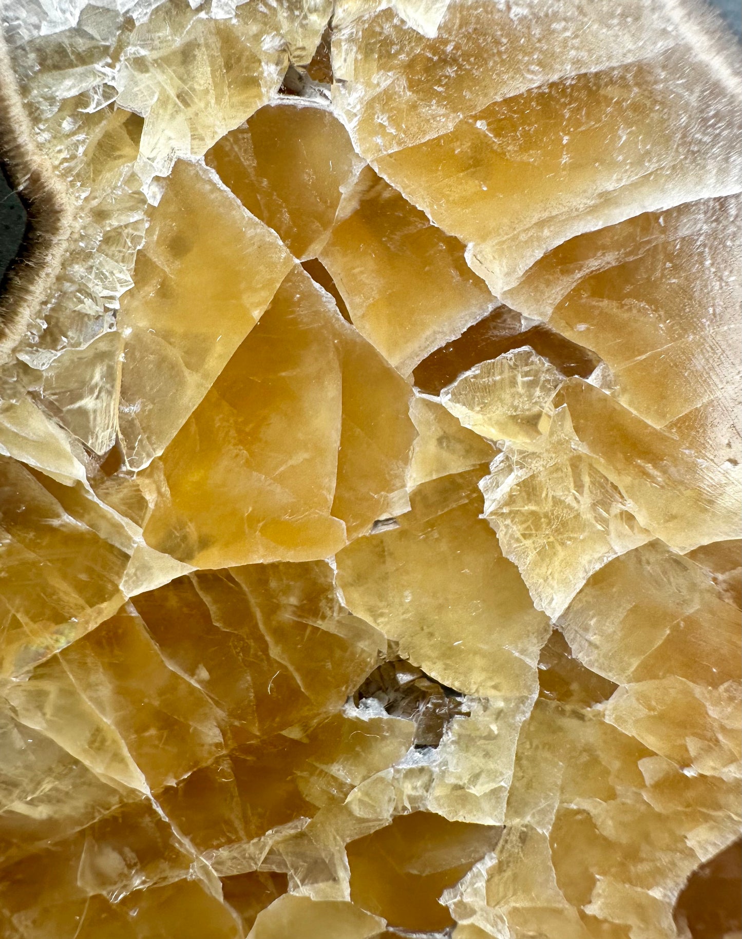 Huge Septarian Polished Slab, Mappleton, Holderness coast, East Yorkshire, England.