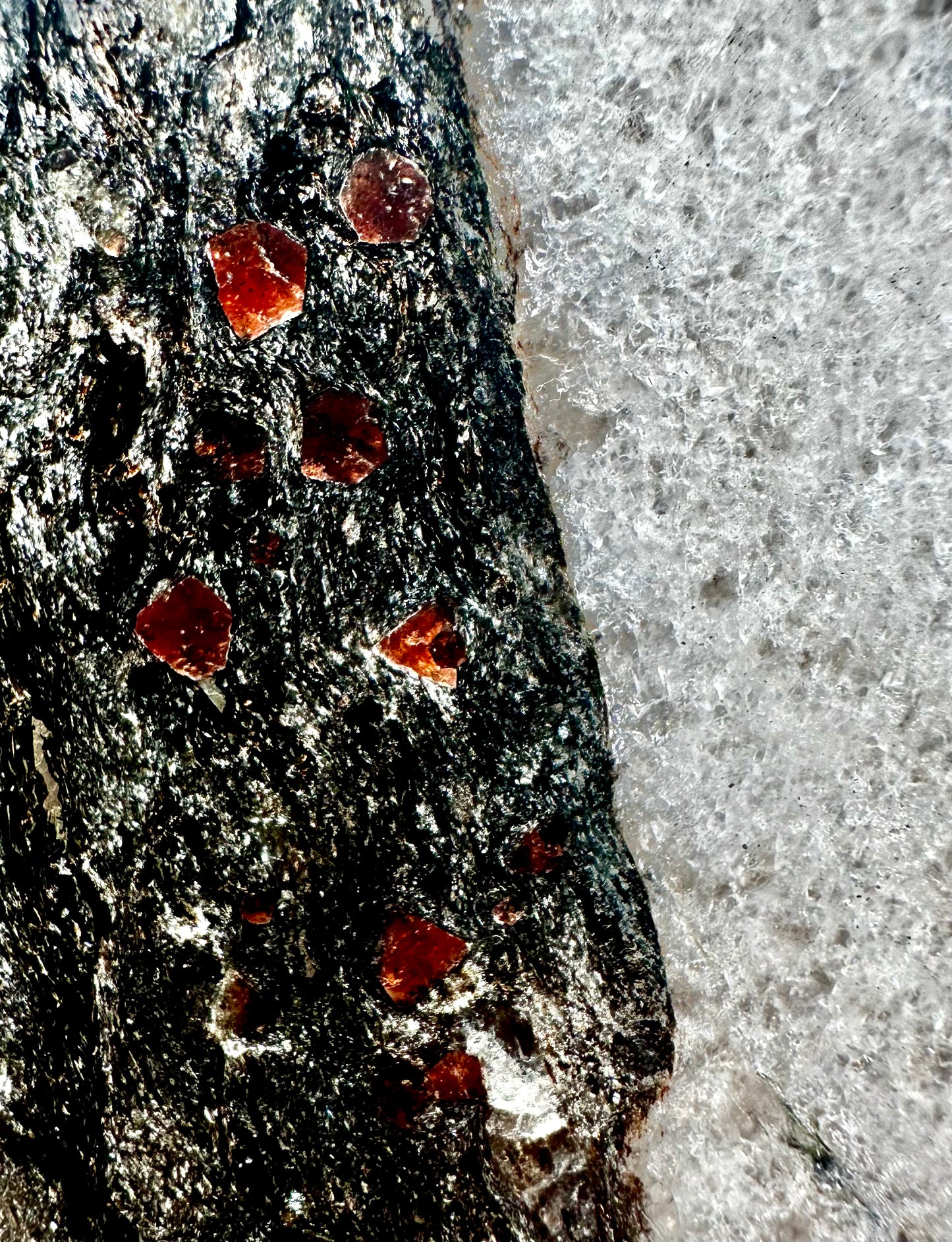 Garnet Mica Schist, polished. Mappleton, Holderness Coast, East Yorkshire, England.