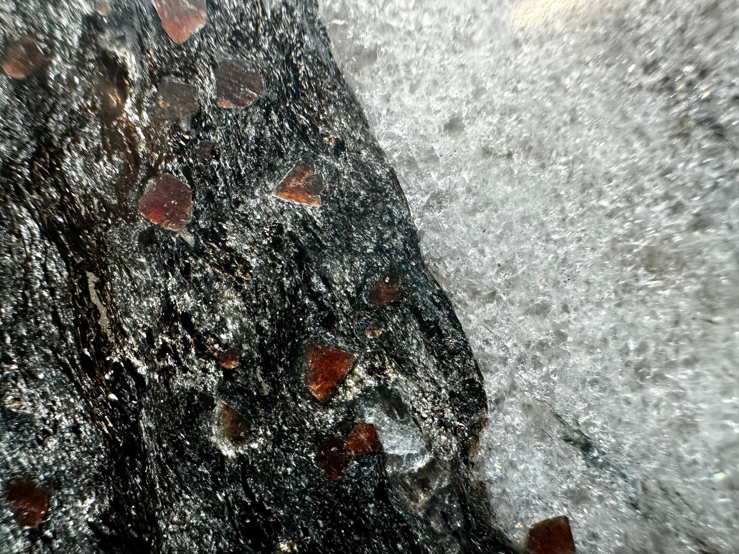 Polished Garnets in Mica Schist