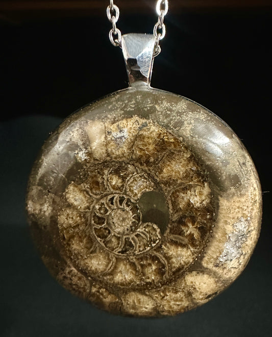 Yorkshire Ammonite Necklace Large
