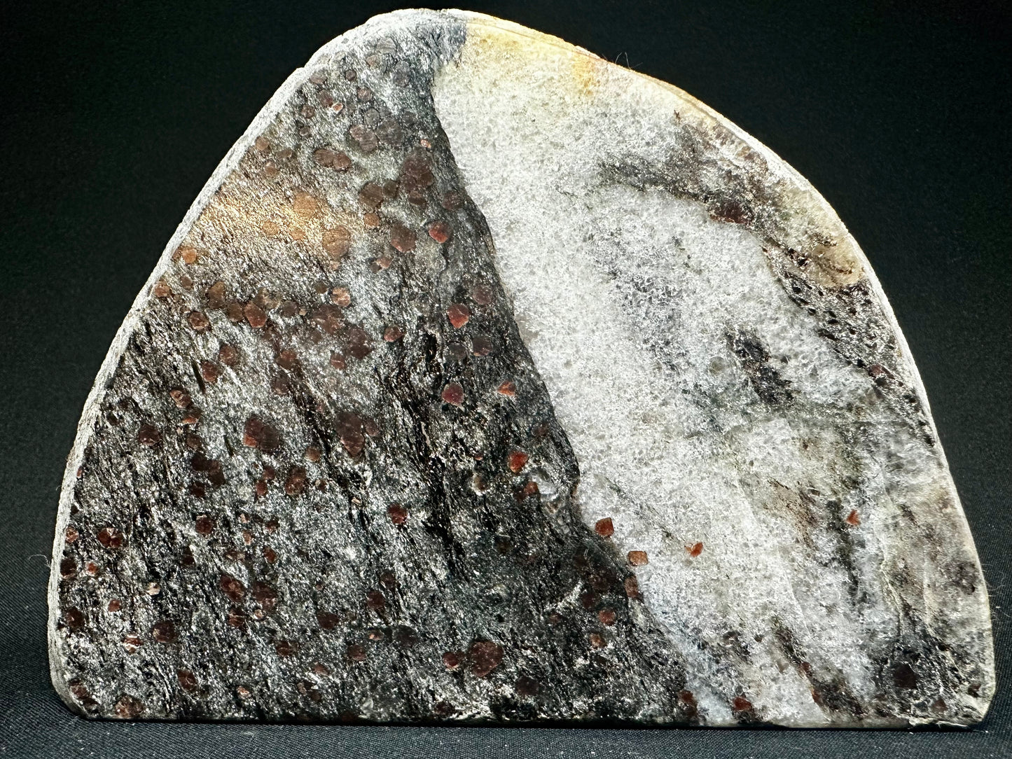 Polished Garnets in Mica Schist