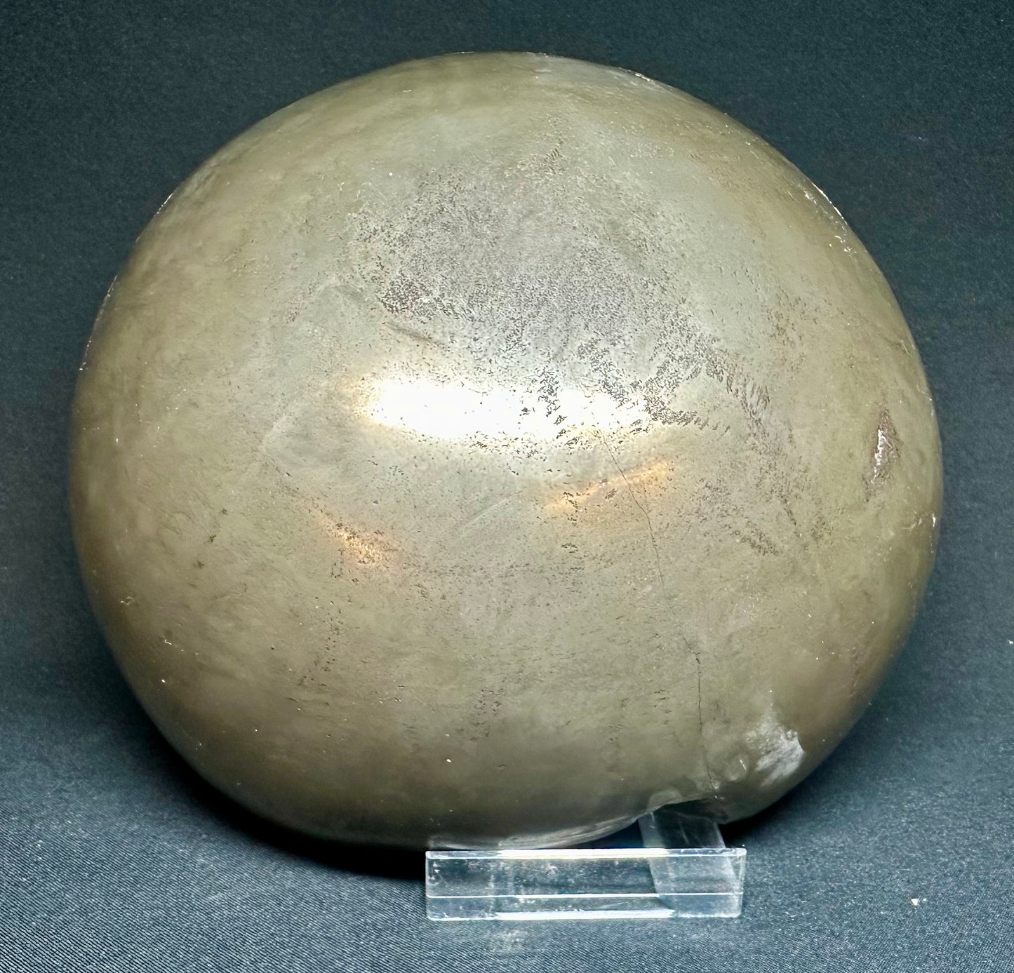 Semi polished cannonball British Lower Jurassic, Upper Lias Ammonite Cluster from Sandsend, Whitby, North Yorkshire, England Eleganticeras elegantulum