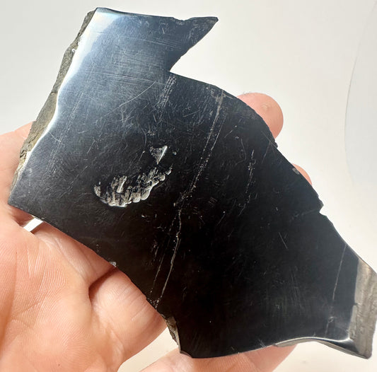Whitby Jet 39 grams Lower Jurassic, Upper Lias from Whitby, North Yorkshire.
