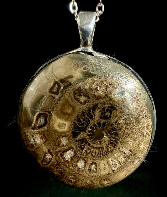 Yorkshire Ammonite Necklace Large